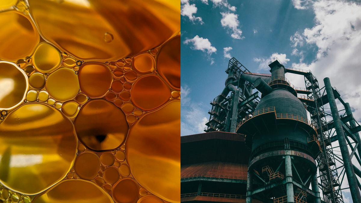 The history of seed oils, from industrial byproduct to a staple of the American food supply