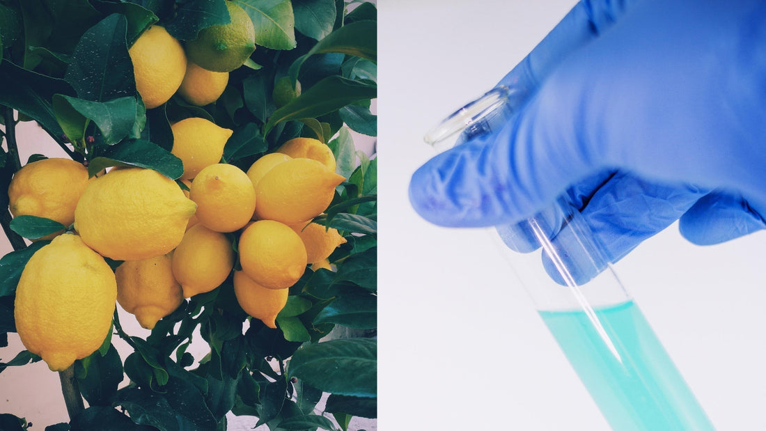 Natural flavors explained: real fruit versus lab-made flavor compounds side by side